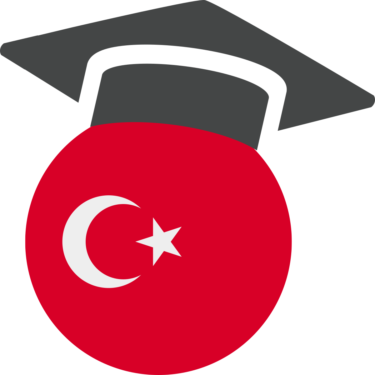Top public universities in turkey