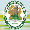 Amazonian University of Pando's official logo - UAP seal