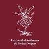 Autonomous University of Piedras Negras's official logo - UAPN seal