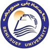 Beni-Suef University's official logo - BSU seal
