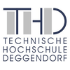 Deggendorf Institute of Technology's official logo - THD / DIT seal