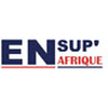 Ensup Afrique's official logo -  seal