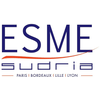 ESME Sudria's official logo - ESME Sudria seal
