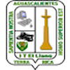 Instituto Tecnológico de El Llano Aguascalientes's official logo - TecNM El Llano Aguascalientes seal