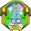 Instituto Tecnológico del Valle de Morelia's official logo - TecNM Valle de Morelia seal