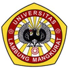 Lambung Mangkurat University's official logo - ULM seal