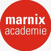 Manrix Academy's official logo -  seal