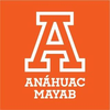 Mayab University's official logo -  seal