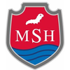 Medical School Hamburg's official logo - MSH seal