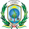 National Autonomous University of Alto Amazonas's official logo - UNAAA seal