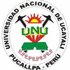 National University of Ucayali's official logo - UNU seal