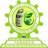 Technological Institute of the Olmec Region's official logo - TecNM La Zona Olmeca seal