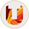 Teesside University's official logo -  seal
