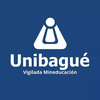 Universidad de Ibagué's official logo - UDI seal