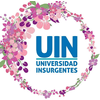 Universidad Insurgentes S.C.'s official logo - UIN seal
