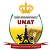 Universidad Nacional Autónoma de Tayacaja's official logo - UNAT seal