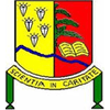 Université de Mbuji Mayi's official logo - UM seal