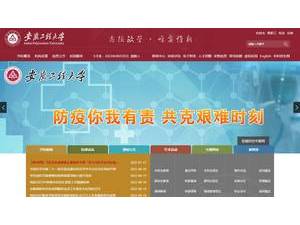 Anhui Polytechnic University's official website homepage screenshot