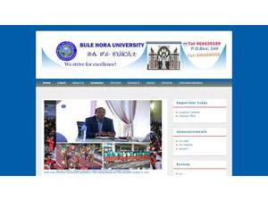 Bule Hora University's official website homepage screenshot