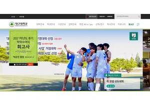 Daegu University's official website homepage screenshot