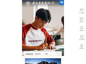 Dalian Art College's official website homepage screenshot