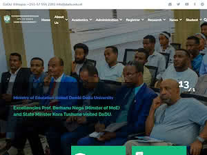 Dembi Dolo University's official website homepage screenshot