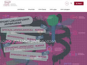 Georgian Institute of Public Affairs's official website homepage screenshot