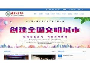 Hunan City University's official website homepage screenshot