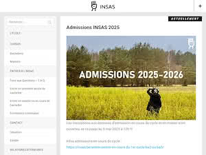 Institut national supérieur des Arts du Spectacle et des Techniques de Diffusion's official website homepage screenshot