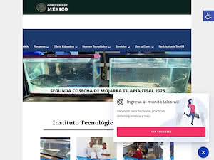 Instituto Tecnológico de Salina Cruz's official website homepage screenshot