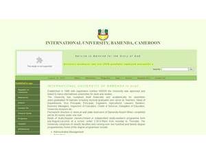 International University, Bamenda's official website homepage screenshot