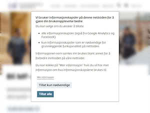 MF vitenskapelig høyskole's official website homepage screenshot