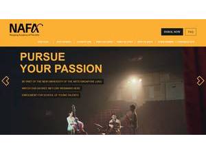 Nanyang Academy of Fine Arts's official website homepage screenshot