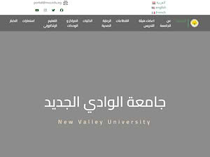 New Valley University's official website homepage screenshot