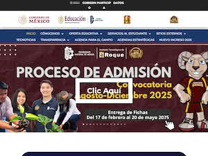 Roque Institute of Technology's official website homepage screenshot