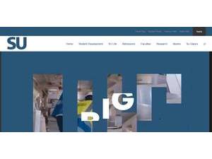 Sinai University's official website homepage screenshot