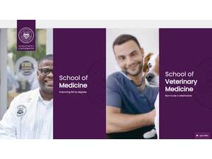 St. Matthew's University's official website homepage screenshot