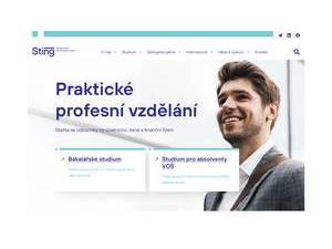 STING Academy's official website homepage screenshot