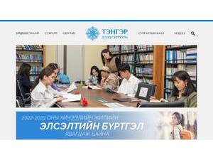 Tenger Institute's official website homepage screenshot