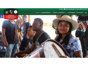 Universidad Autónoma Indígena Intercultural's official website homepage screenshot