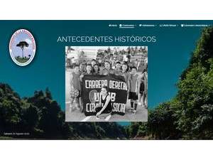 Universidad de la Amazonía Boliviana's official website homepage screenshot