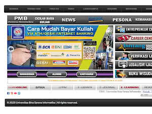 Universitas Bina Sarana Informatika's official website homepage screenshot