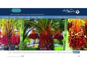 Velayat University's official website homepage screenshot