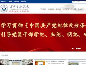 Wuchang Shouyi University's official website homepage screenshot