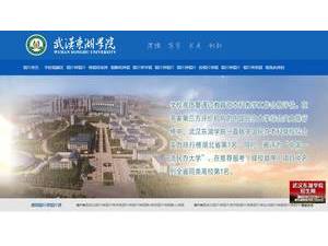 Wuhan Donghu University's official website homepage screenshot