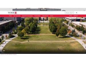 York University's official website homepage screenshot