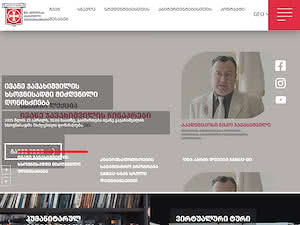 ქართული უნივერსიტეტი's official website homepage screenshot