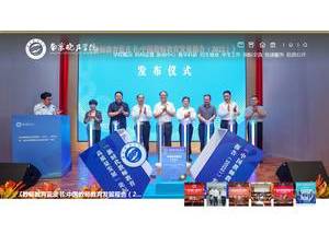 南京晓庄学院's official website homepage screenshot