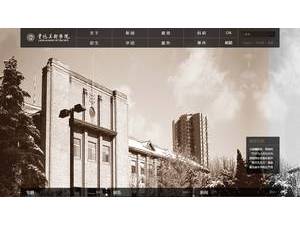 鲁迅美术学院's official website homepage screenshot